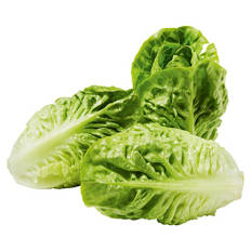 Baby Gem Lettuce 3 Pack